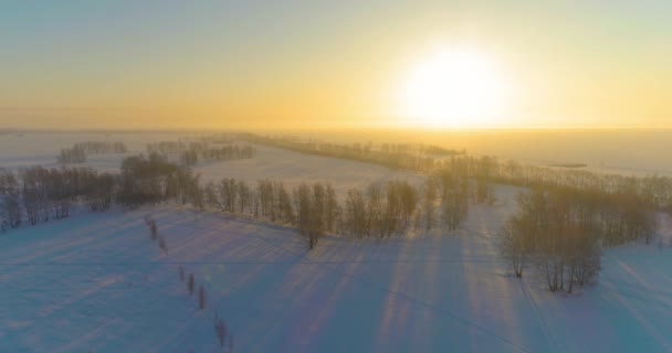 Veduta aerea drone del freddo paesaggio invernale con campo artico, alberi coperti di neve gelo e raggi del sole del mattino all'orizzonte. — Video Stock