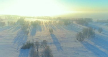 Arktik çayırlı soğuk kış manzarası, karla kaplı ağaçlar ve ufukta sabah güneşleri..