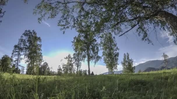 Mountain meadow time-lapse at the summer or autumn time. Wild nature and rural field. Motorised slider dolly movement. — Stock Video