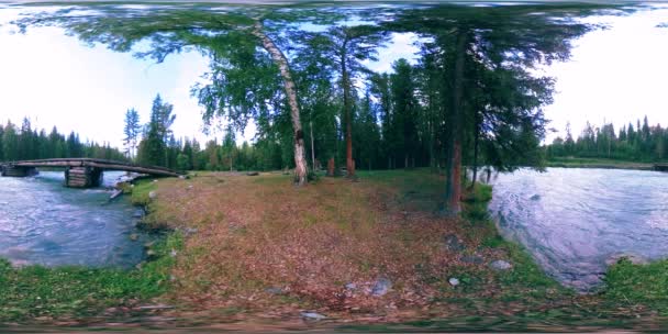 360 VR realidad virtual de un bosque salvaje. Bosque de pinos, pequeño río de montaña rápido y frío. Parque Nacional. — Vídeo de stock