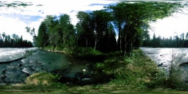 Vahşi bir ormanın 360 VR sanal gerçekliği. Çam ormanı, küçük, hızlı, soğuk dağ nehri. Ulusal park.