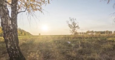 Yazın ya da sonbaharda çayır zamanlaması. Kırsal alan cadısı güneş ışınları, ağaçlar ve yeşil çimenler. Gün batımında motorlu doli kaydırıcı