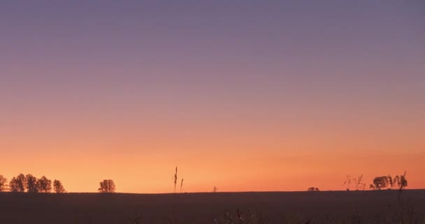 Płaska łąka łąka timelapse w letnim czasie wschodu słońca. Dzika przyroda i wiejskie pole trawy. Promienie słońca i drzewa. Suwak z wózkiem silnikowym — Wideo stockowe