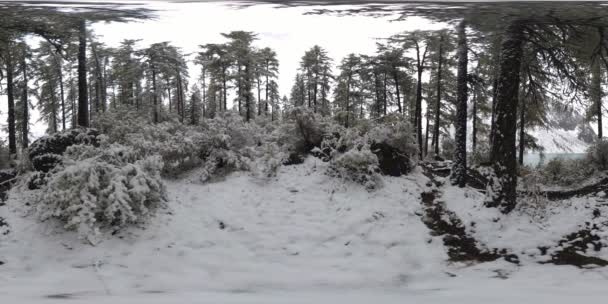 Ορεινή λίμνη 360 VR το χειμώνα. 'γρια φύση και κοιλάδα. Πράσινο δάσος από πεύκα και γρήγορα σύννεφα στον ουρανό. — Αρχείο Βίντεο