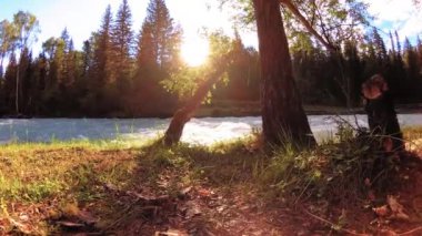 Dağ nehri kıyısındaki çayır. Yeşil çimlerle, çam ağaçlarıyla ve güneş ışınlarıyla kaplı bir manzara. Motorlu kaydırma kulesinde hareket.