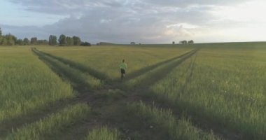 Sportif çocuk yeşil buğday tarlasında koşuyor. Kırsal çayırlarda akşam sporu alıştırmaları. Mutlu bir çocukluk sağlıklı bir yaşam biçimidir. Radikal hareket, güneş ışınları ve ot.