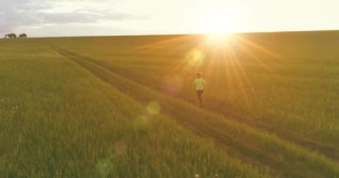 Sportif çocuk yeşil buğday tarlasında koşuyor. Kırsal çayırlarda akşam sporu alıştırmaları. Mutlu bir çocukluk sağlıklı bir yaşam biçimidir. Radikal hareket, güneş ışınları ve ot.
