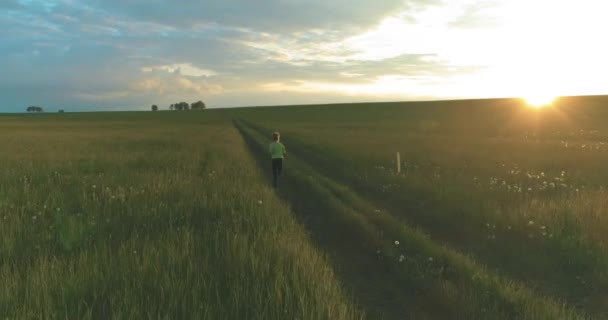 Enfant sportif court à travers un champ de blé vert sous la pluie d'été. Exercices d'entraînement sportif en soirée dans un pré rural. Une enfance heureuse est un mode de vie sain. Mouvement radial, rayons du soleil et herbe. — Video
