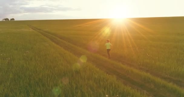 A criança desportiva atravessa um campo de trigo verde. Exercícios de treino desportivo nocturno no prado rural. Uma infância feliz é um modo de vida saudável. Movimento radial, raios de sol e grama. — Vídeo de Stock