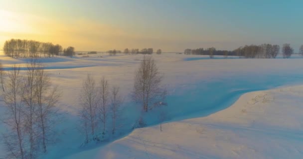 Vista aérea del frío paisaje del campo ártico, árboles con nieve helada, ríos de hielo y rayos de sol sobre el horizonte. Clima de baja temperatura extrema. — Vídeo de stock