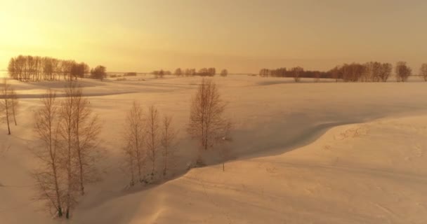 Luchtfoto van het koude arctische veld landschap, bomen met vorst sneeuw, ijsrivier en zonnestralen over de horizon. Extreem lage temperatuur weer. — Stockvideo