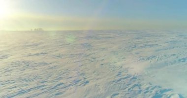 Soğuk kış manzarası kutup bölgesi, karla kaplı ağaçlar, ufukta buz nehri ve güneş ışınları. Aşırı düşük sıcaklık havası.