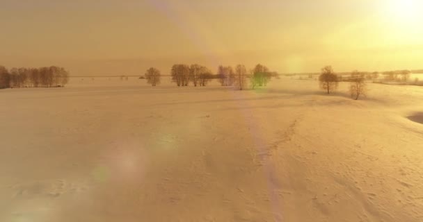 Aerial view of cold arctic field landscape, trees with frost snow, ice river and sun rays over horizon. Extreme low temperature weather. — Stock Video