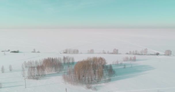 Luchtfoto van het koude winterlandschap van het poolgebied, bomen bedekt met vorst sneeuw, ijsrivier en zonnestralen over de horizon. Extreem lage temperatuur weer. — Stockvideo