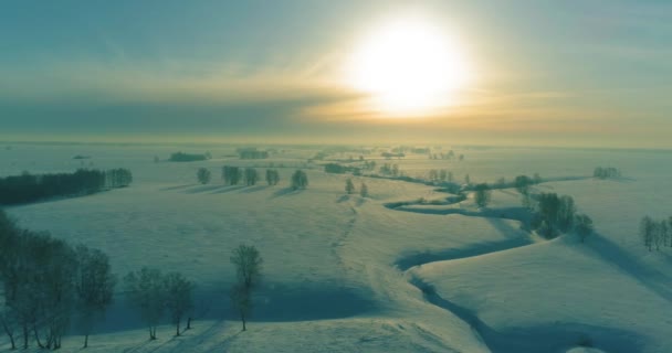 Vista aérea da paisagem fria inverno campo ártico, árvores cobertas com neve geada, rio de gelo e raios de sol sobre o horizonte. Tempo extremo de baixa temperatura. — Vídeo de Stock