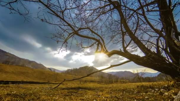 Time lapse di albero della morte e erba gialla secca a paesaggio montano con nuvole e raggi di sole. Movimento cursore orizzontale — Video Stock