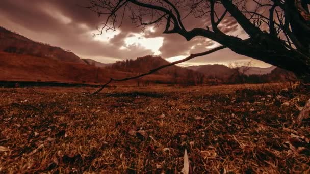 Time lapse of death tree and dry yellow grass at mountian landscape with clouds and sun rays. Movimiento deslizante horizontal — Vídeos de Stock