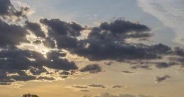 Yaz günbatımında düz tepe çayır zaman çizelgesi. Vahşi doğa ve kırsal alan. Güneş ışınları, ağaçlar, yeşil çimen hareketleri. Motorlu doli kaydırıcı