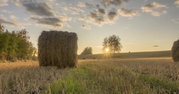 Flat hill meadow timelapse at the summer sunset time. Wild nature and rural haystacks on grass field. Sun rays and green trees. Motorised dolly slider — Stock Video