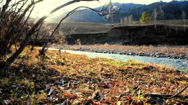 森の近くの山の川で水しぶきのドリースライダーショット。ぬれた岩や太陽の光線。水平安定運動. — ストック動画