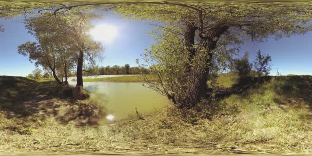 UHD 4K 360 VR Virtuális valóság egy folyó folyik át sziklák gyönyörű hegyi erdő táj — Stock videók
