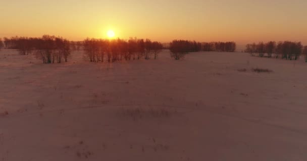 Luftdrone udsigt over kolde vinter landskab med arktisk mark, træer dækket med frost sne og morgen solstråler over horisonten. – Stock-video