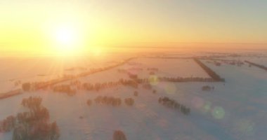 Arktik çayırlı soğuk kış manzarası, karla kaplı ağaçlar ve ufukta sabah güneşleri..