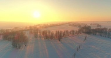 Arktik çayırlı soğuk kış manzarası, karla kaplı ağaçlar ve ufukta sabah güneşleri..