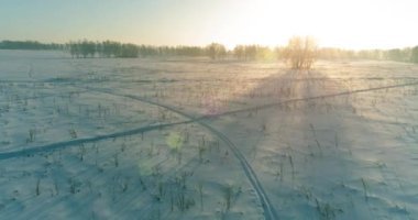 Arktik çayırlı soğuk kış manzarası, karla kaplı ağaçlar ve ufukta sabah güneşleri..