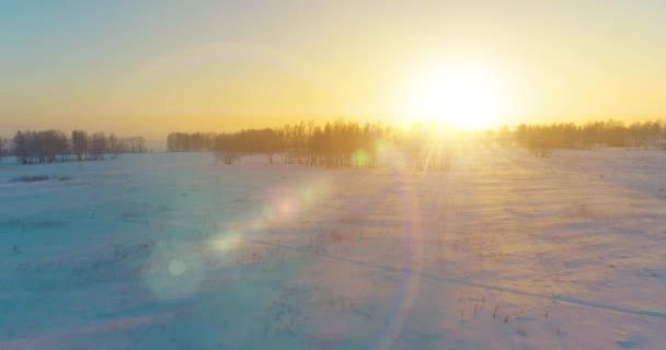 Aerial drone kilátás hideg téli táj sarkvidéki területen, fák borított fagy hó és reggeli napsugarak horizonton. — Stock videók