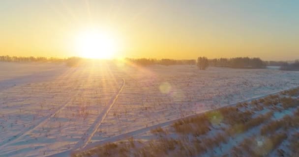 北極のフィールドと寒い冬の風景の空中ドローンビュー、水平線上に霜雪と朝の太陽光線で覆われた木. — ストック動画