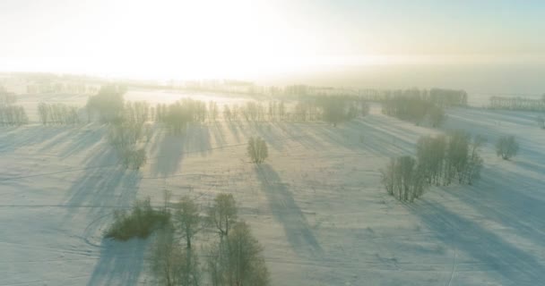 Воздушный беспилотник с видом на холодный зимний пейзаж с арктическим полем, деревья, покрытые морозным снегом и утренние солнечные лучи над горизонтом. — стоковое видео