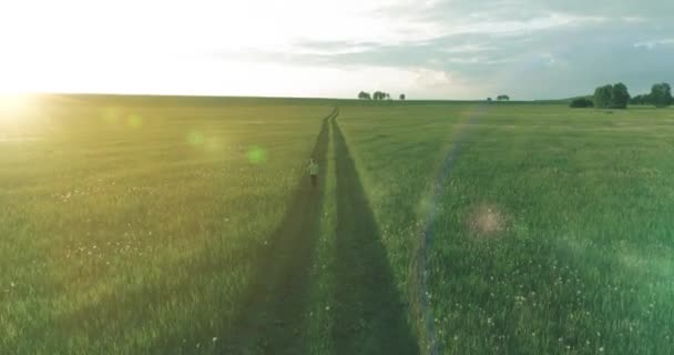 Sportliches Kind läuft durch ein grünes Weizenfeld. Abendliche Sportübungen auf der Wiese. Eine glückliche Kindheit ist eine gesunde Lebensweise. Radiale Bewegung, Sonnenstrahlen und Gras. — Stockvideo