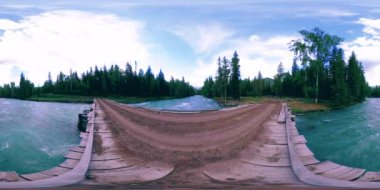 Vahşi bir ormanın 360 VR sanal gerçekliği. Çam ormanı, küçük, hızlı, soğuk dağ nehri. Ulusal park.