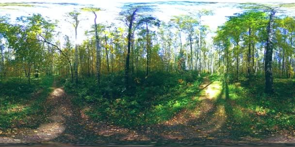 UHD 4K 360 가상 현실 도시 공원 레크리에이션 지역의 가상 현실. 가을이나 여름에는 나무와 푸른 풀이 — 비디오