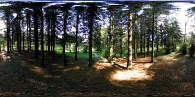 Bir şehir parkının UHD 4K 360 VR Sanal Gerçekliği. Sonbaharda ya da yaz gününde ağaçlar ve yeşil çimenler