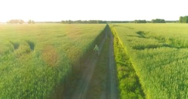 Kırsal yoldaki bir çim tarlasında bisiklet süren genç bir çocuğun hava manzarası. Güneş ışığı ve ışınlar.