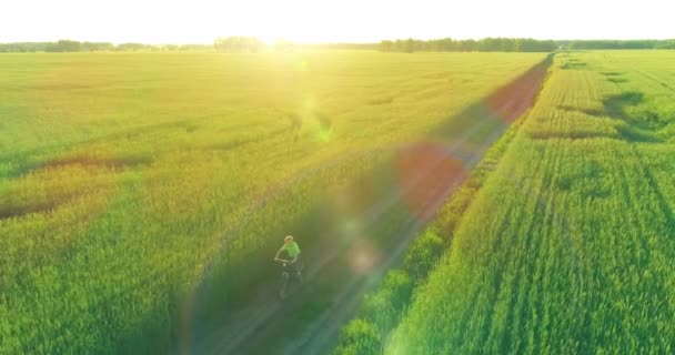 Vista aérea sobre o menino, que monta uma bicicleta através de um campo de grama de trigo na antiga estrada rural. Luz solar e vigas. — Vídeo de Stock