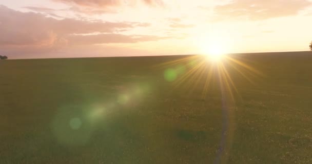 4K UHD हवाई दृश्य। धूप गर्मियों की शाम को अंतहीन हरे रंग के मैदान के साथ ग्रामीण गर्मियों के परिदृश्य से ऊपर की कम उड़ान। क्षितिज पर सूर्य की किरणें। तेजी से क्षैतिज आंदोलन . — स्टॉक वीडियो