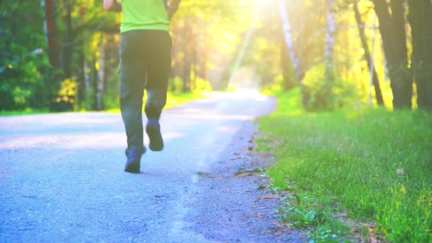 Sportler läuft auf Asphaltstraße. Ländlicher Stadtpark. Grüner Baumwald und Sonnenstrahlen am Horizont. — Stockvideo