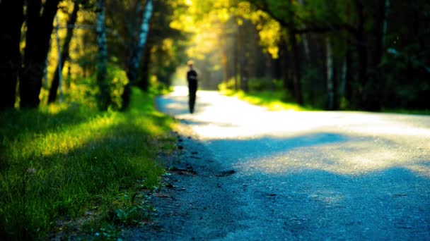 Homme de sport qui court sur la route asphaltée. Parc urbain rural. Forêt d'arbres verts et rayons du soleil à l'horizon. — Video