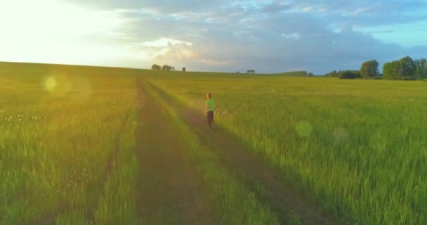 A criança desportiva atravessa um campo de trigo verde. Exercícios de treino desportivo nocturno no prado rural. Uma infância feliz é um modo de vida saudável. Movimento radial, raios de sol e grama. — Vídeo de Stock