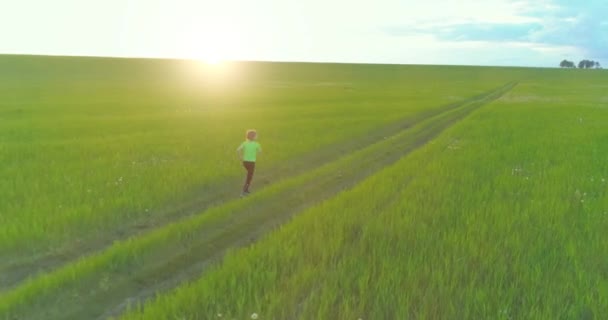 Sportigt barn springer genom ett grönt vetefält. Kvällsträning på landsbygden. En lycklig barndom är ett hälsosamt sätt att leva. Radiella rörelser, solstrålar och gräs. — Stockvideo