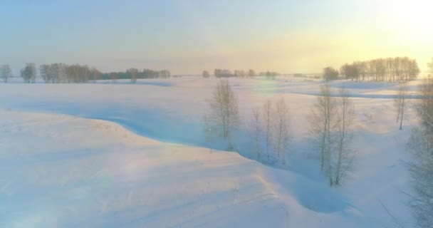 Vista aérea da paisagem fria do campo ártico, árvores com neve de geada, rio de gelo e raios de sol ao longo do horizonte. Tempo extremo de baixa temperatura. — Vídeo de Stock