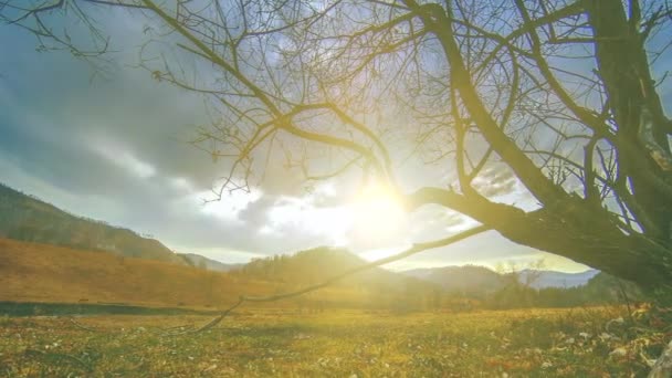 Time lapse of death tree and dry yellow grass at mountian landscape with clouds and sun rays. Movimiento deslizante horizontal — Vídeo de stock