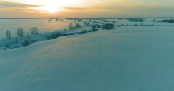 Veduta aerea del freddo paesaggio del campo artico, alberi con neve gelata, fiume ghiaccio e raggi solari all'orizzonte. Clima estremo a bassa temperatura. — Video Stock