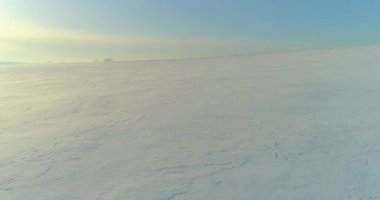 Soğuk kış manzarası kutup bölgesi, karla kaplı ağaçlar, ufukta buz nehri ve güneş ışınları. Aşırı düşük sıcaklık havası.