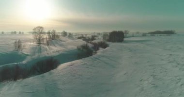 Soğuk kış manzarası kutup bölgesi, karla kaplı ağaçlar, ufukta buz nehri ve güneş ışınları. Aşırı düşük sıcaklık havası.