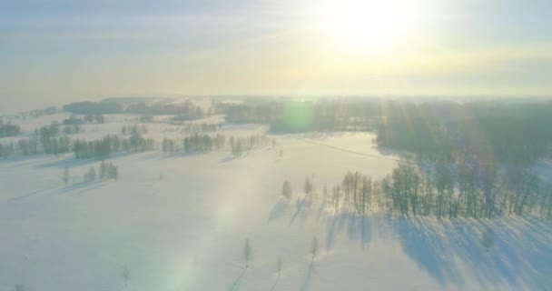 Vista aérea del frío paisaje invernal del campo ártico, árboles cubiertos de nieve helada, ríos de hielo y rayos de sol sobre el horizonte. Clima de baja temperatura extrema. — Vídeos de Stock