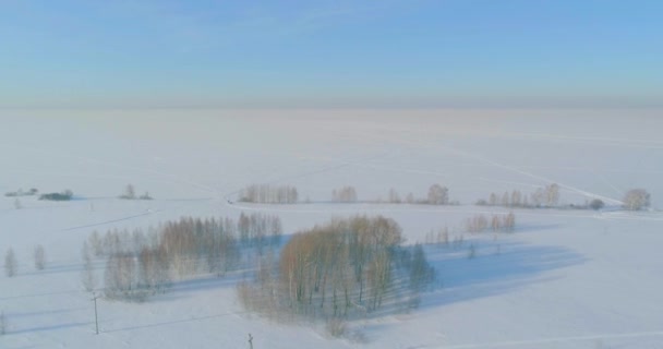 Aerial view of cold winter landscape arctic field, trees covered with frost snow, ice river and sun rays over horizon. Extreme low temperature weather. — Stock Video